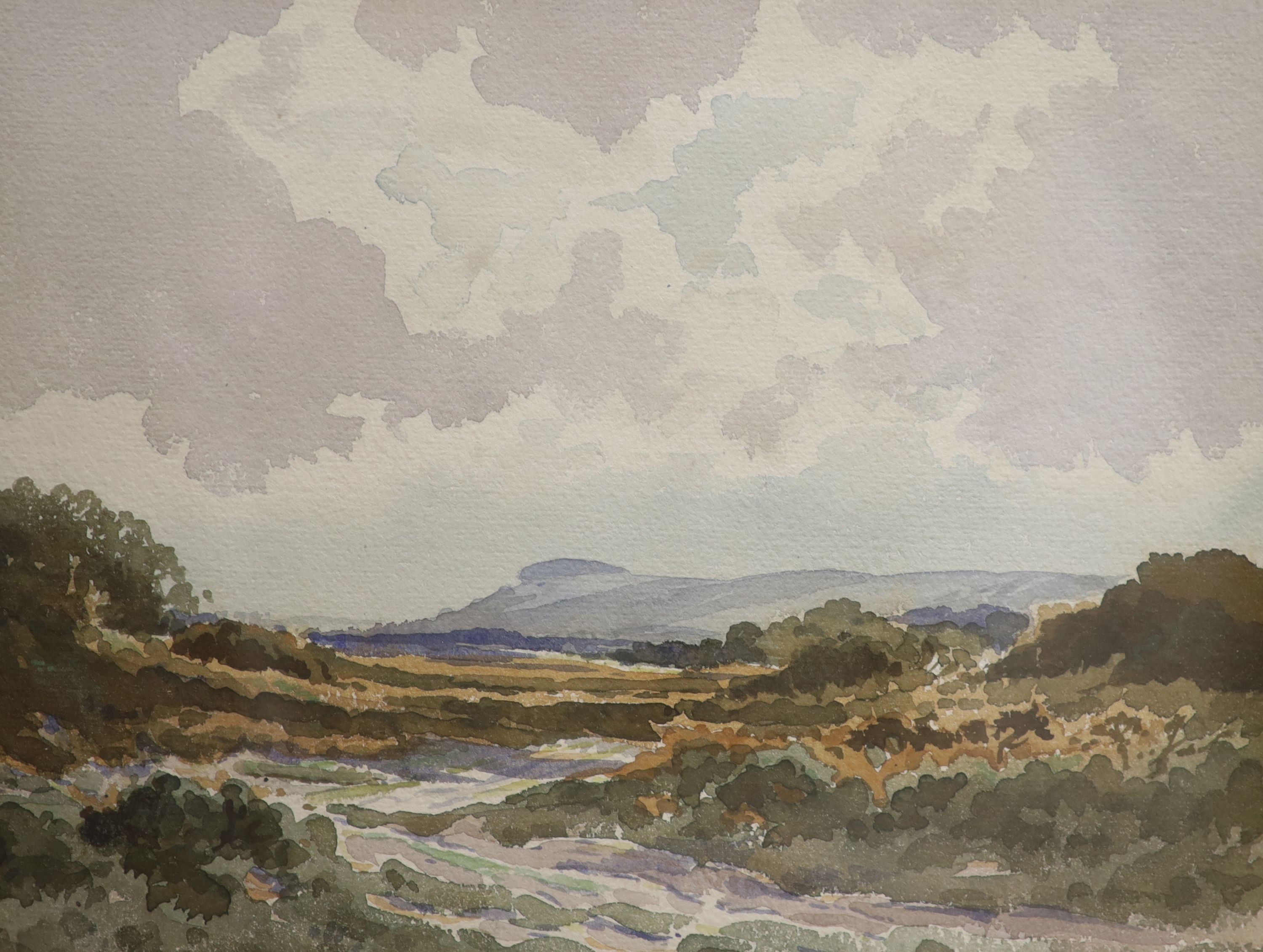 Edwin Harris (1891-1968), watercolour, ‘Chanctonbury from Wiggenholt Common’, label verso, 22 x 29cm 22cm x 28.5cm